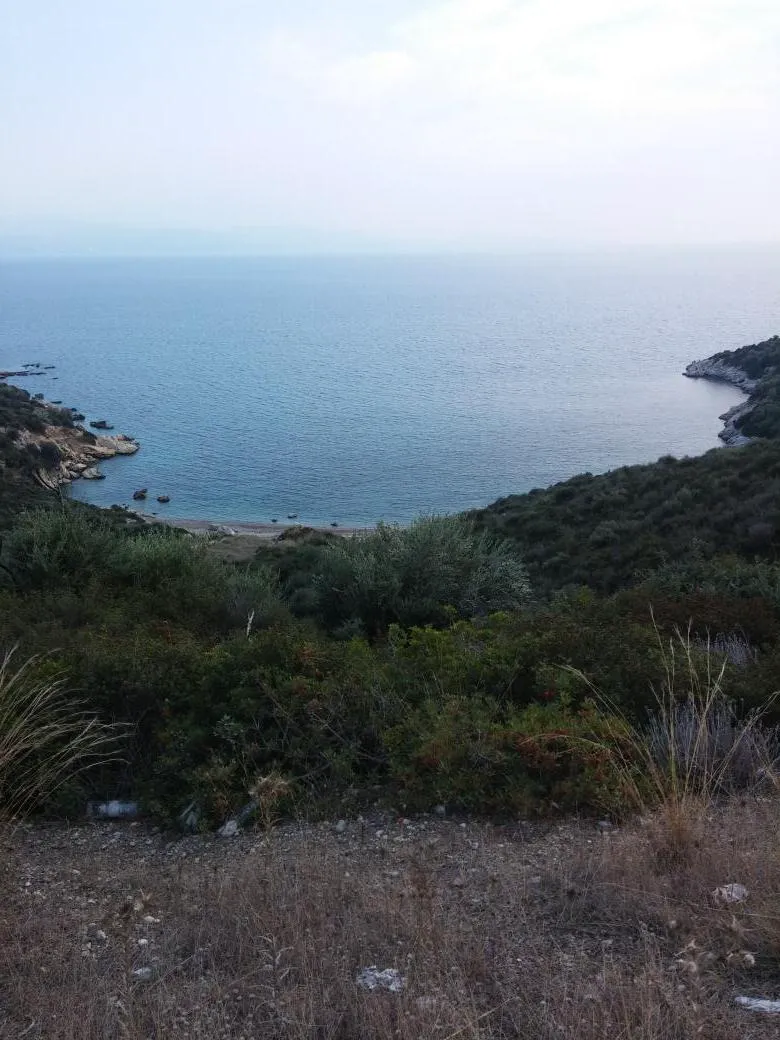 Baradan Koyu 2