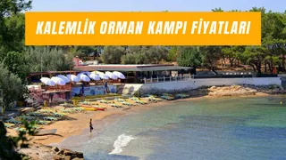 Kalemlik Orman Kampı Fiyatları 2025: Giriş Ücreti Ne Kadar?