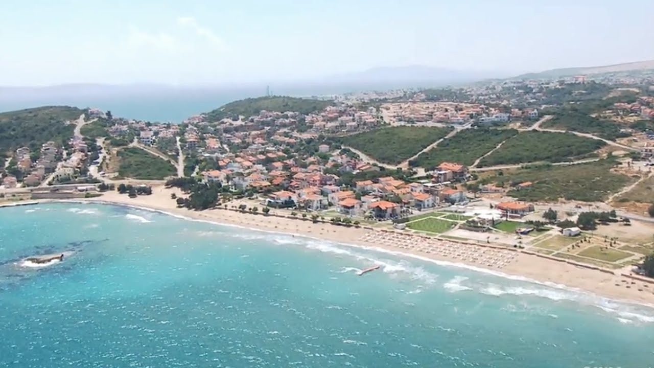 ardıç