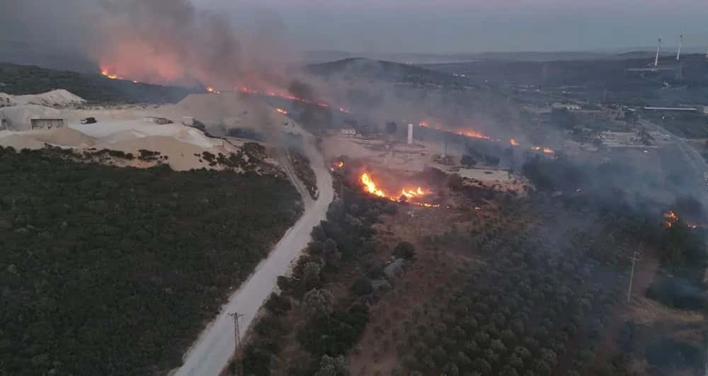 İzmir’de Orman Yangınları: Müdahale Sürüyor