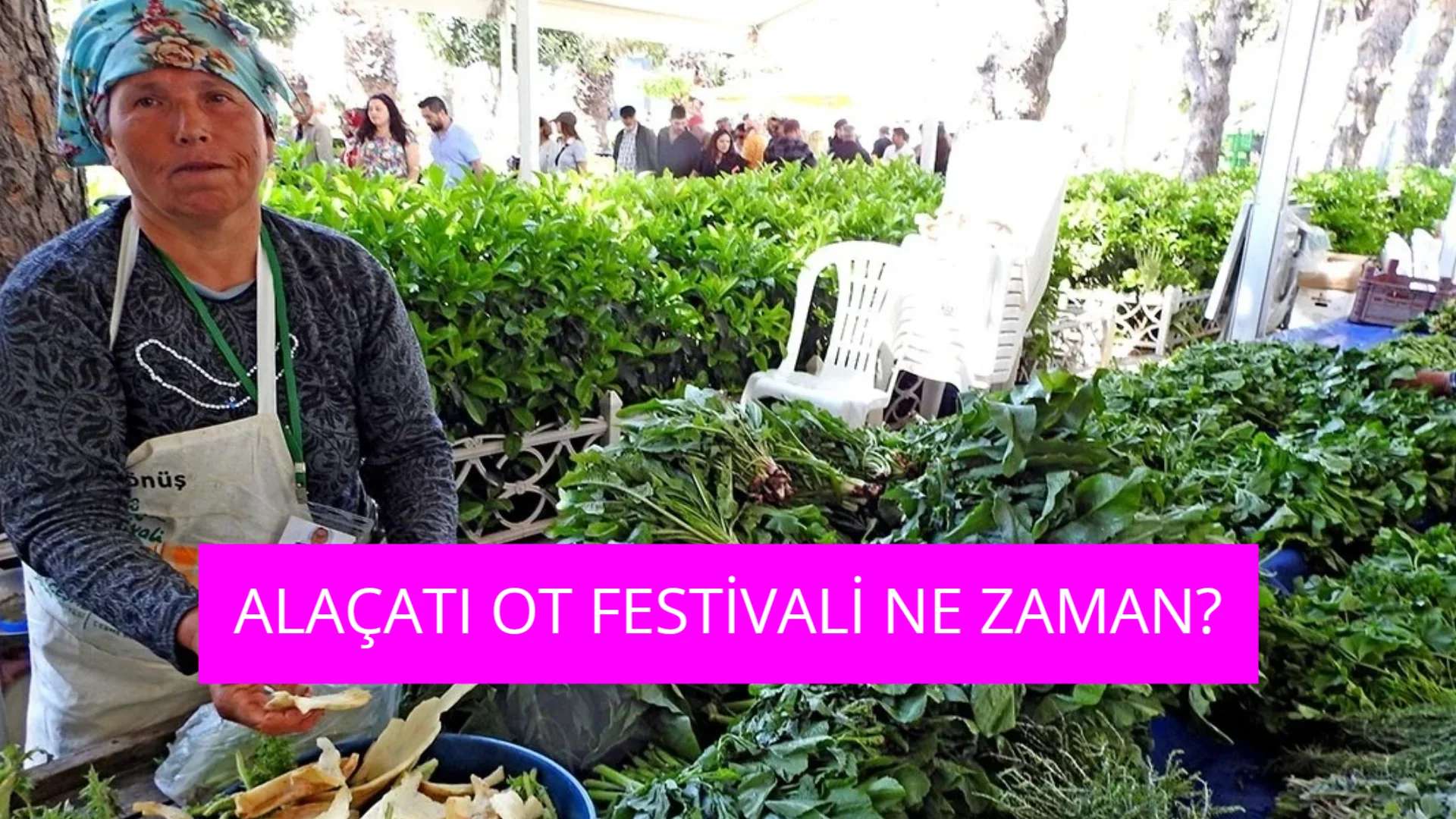 2026 Alaçatı Ot Festivali Ne Zaman? Kaç Gün Sürecek?