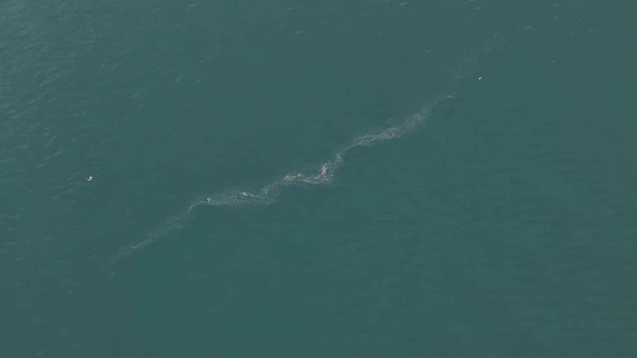 İzmir Körfezi’nde Kirlilik Alarmı: 6 Ayda 13 Vaka Tespit Edildi