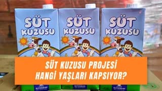 Süt Kuzusu Kaç Yaşa Kadar Gelir? Kimler Alabilir?