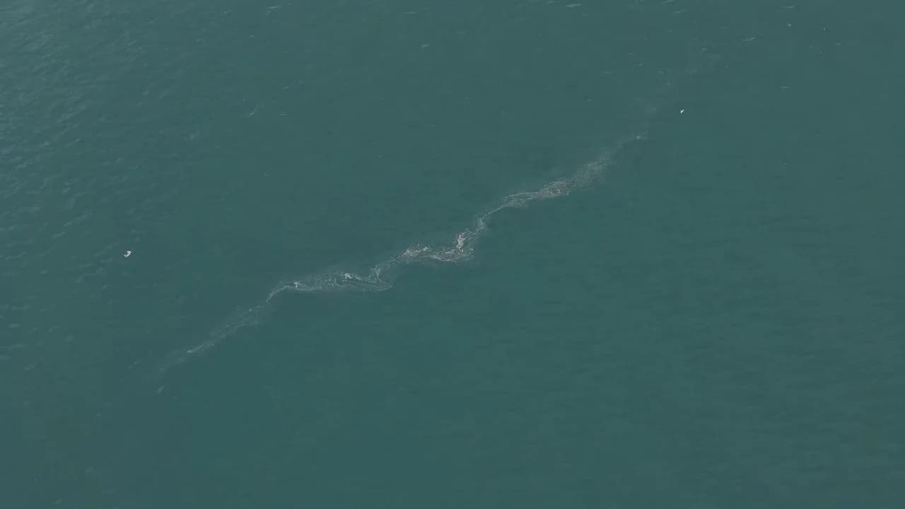 İzmir Körfezi’nde Kirlilik Alarmı: 6 Ayda 13 Vaka Tespit Edildi