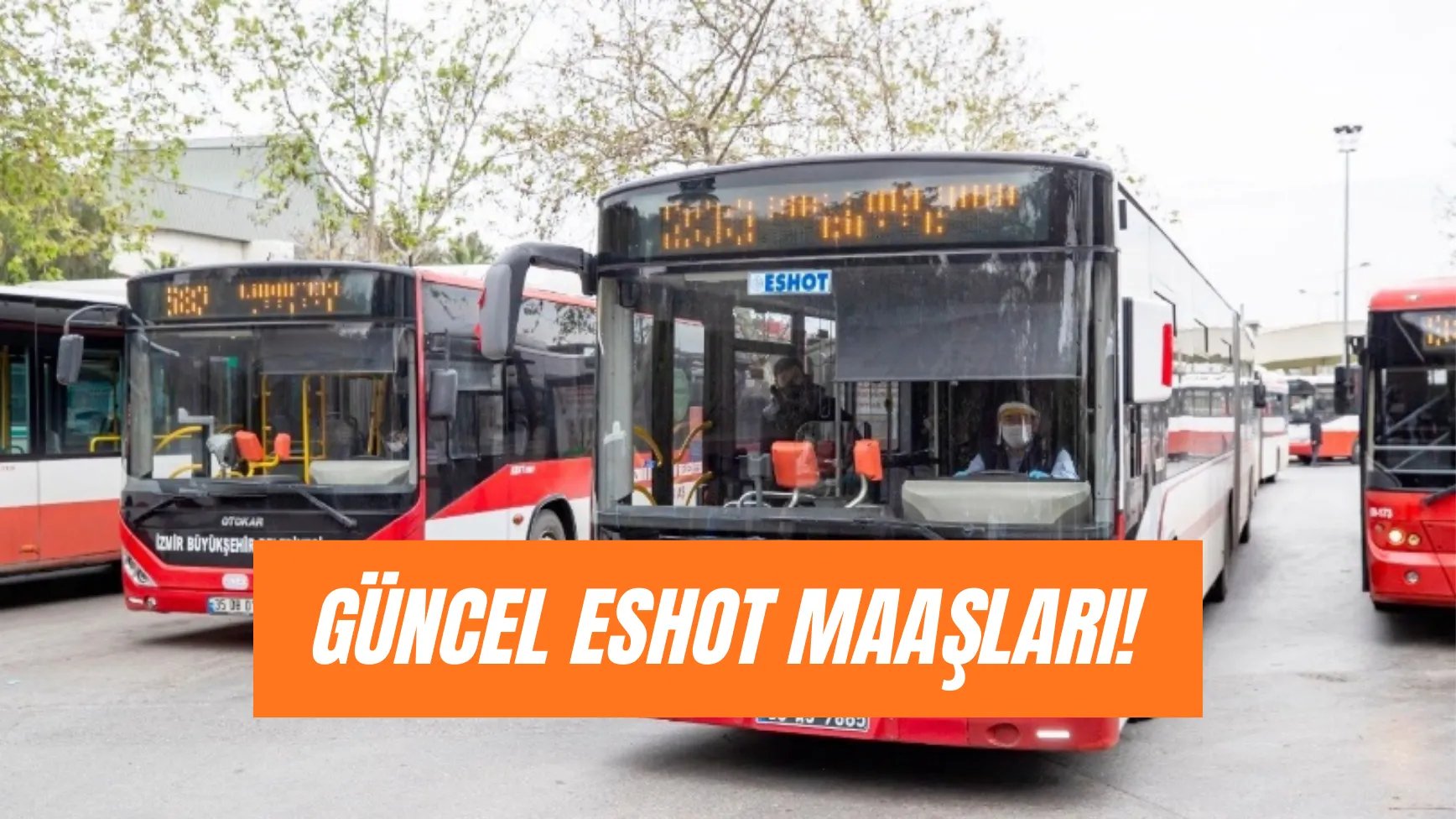 İzmir Eshot Maaşları: Nasıl Eshot Şoförü Olunur?