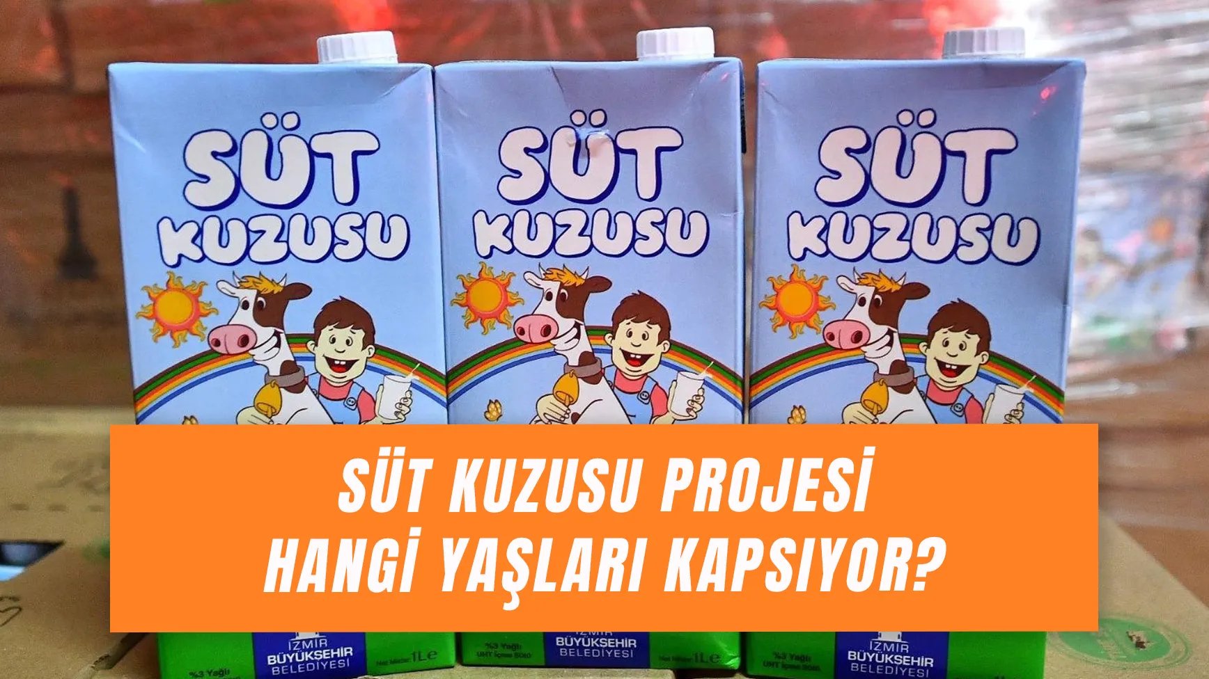 Süt Kuzusu Kaç Yaşa Kadar Gelir? Kimler Alabilir?