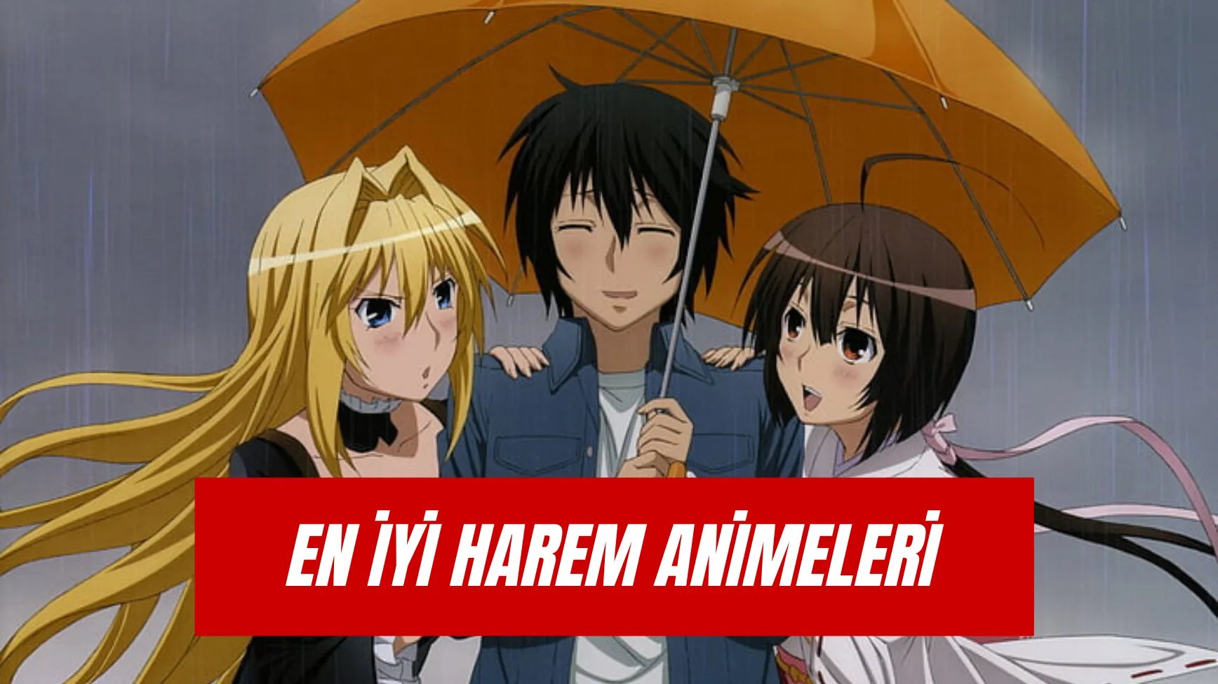 En İyi Harem Animeleri: İzlemeniz Gereken 9 Yapım!