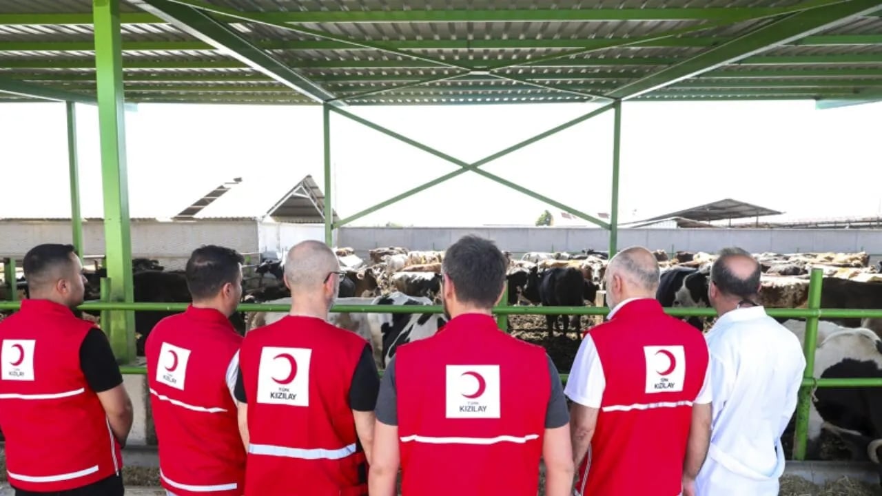 2025 Kurbanlık Fiyatları Belli Oldu: Vekaletle Kesim Kolaylığı Dikkat Çekiyor