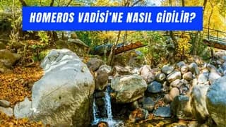 Homeros Vadisi'ne Nasıl Gidilir? Vadi’ye Giden Otobüs Numaraları