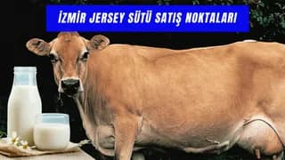 Jersey Sütü İzmir'de Nerede Satılır? İzmir Satış Noktaları!