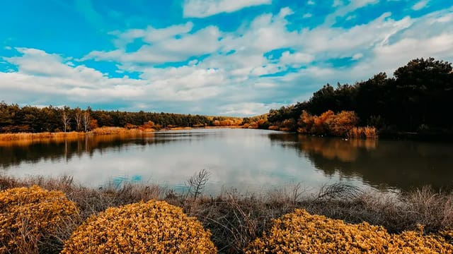 Sarnıç Piknik Alanı'na Nasıl Gidilir? Mangal Yasak Mı?