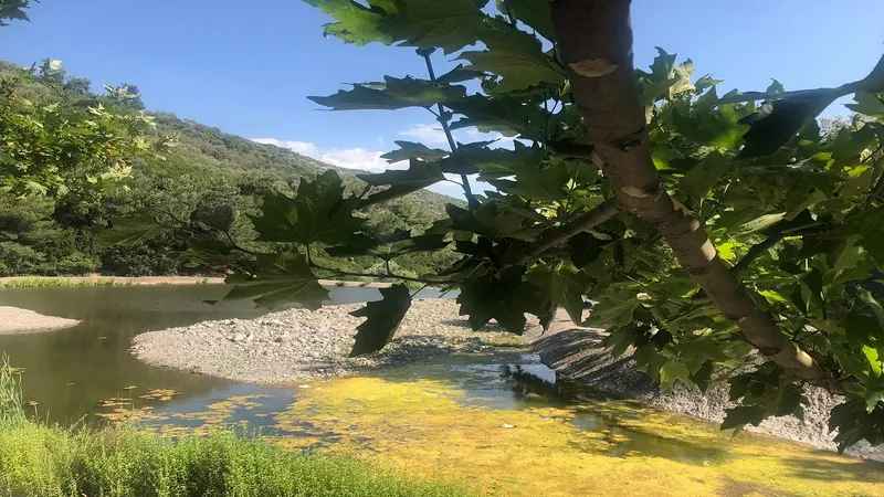 Homeros Vadisi'ne Nasıl Gidilir? Vadi’ye Giden Otobüs Numaraları