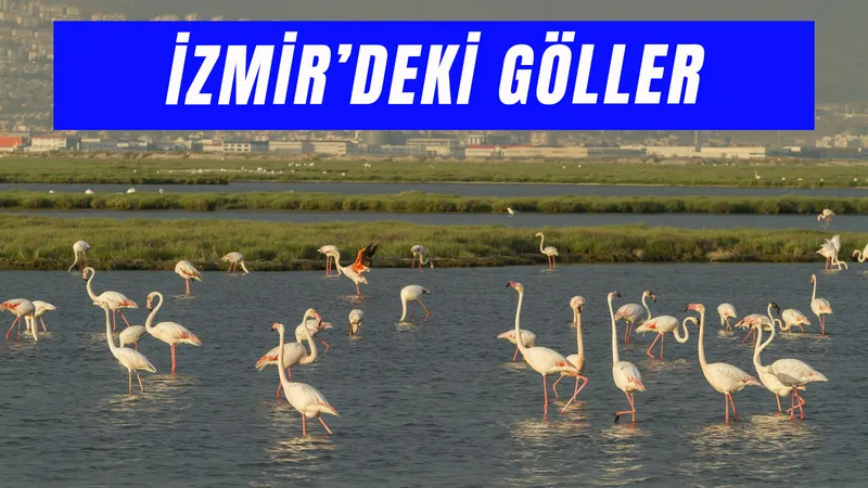 İzmir Gölleri: En Huzurlu Göl Rotaları!