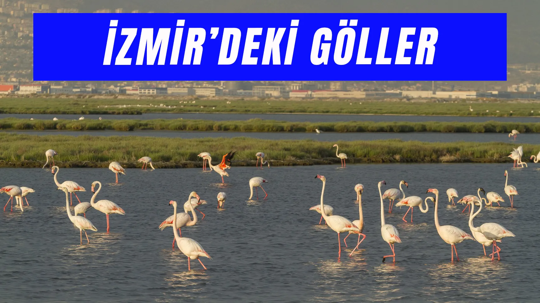 İzmir Gölleri: En Huzurlu Göl Rotaları!