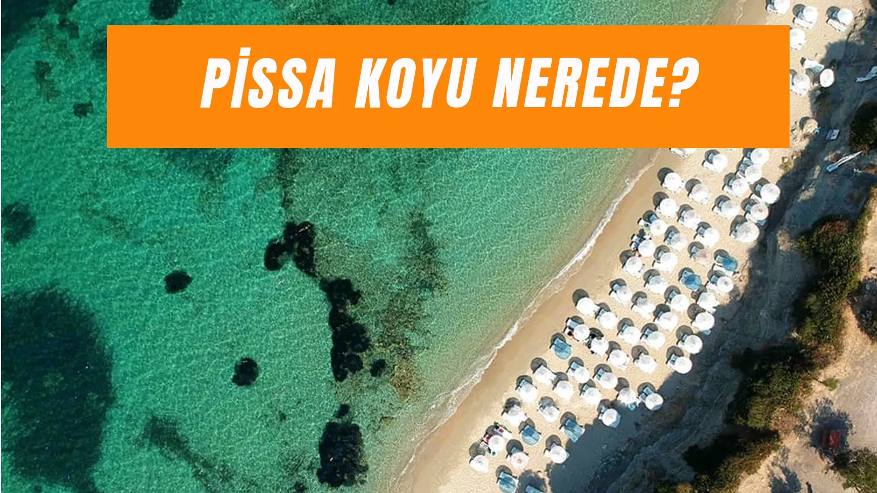 Pissa Koyu Nerede? Ücretli mi?