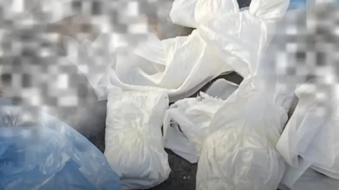 Buca’da Vahşi Olay: Çöp Konteyneri Yanında 33 Ölü Kedi Bulundu
