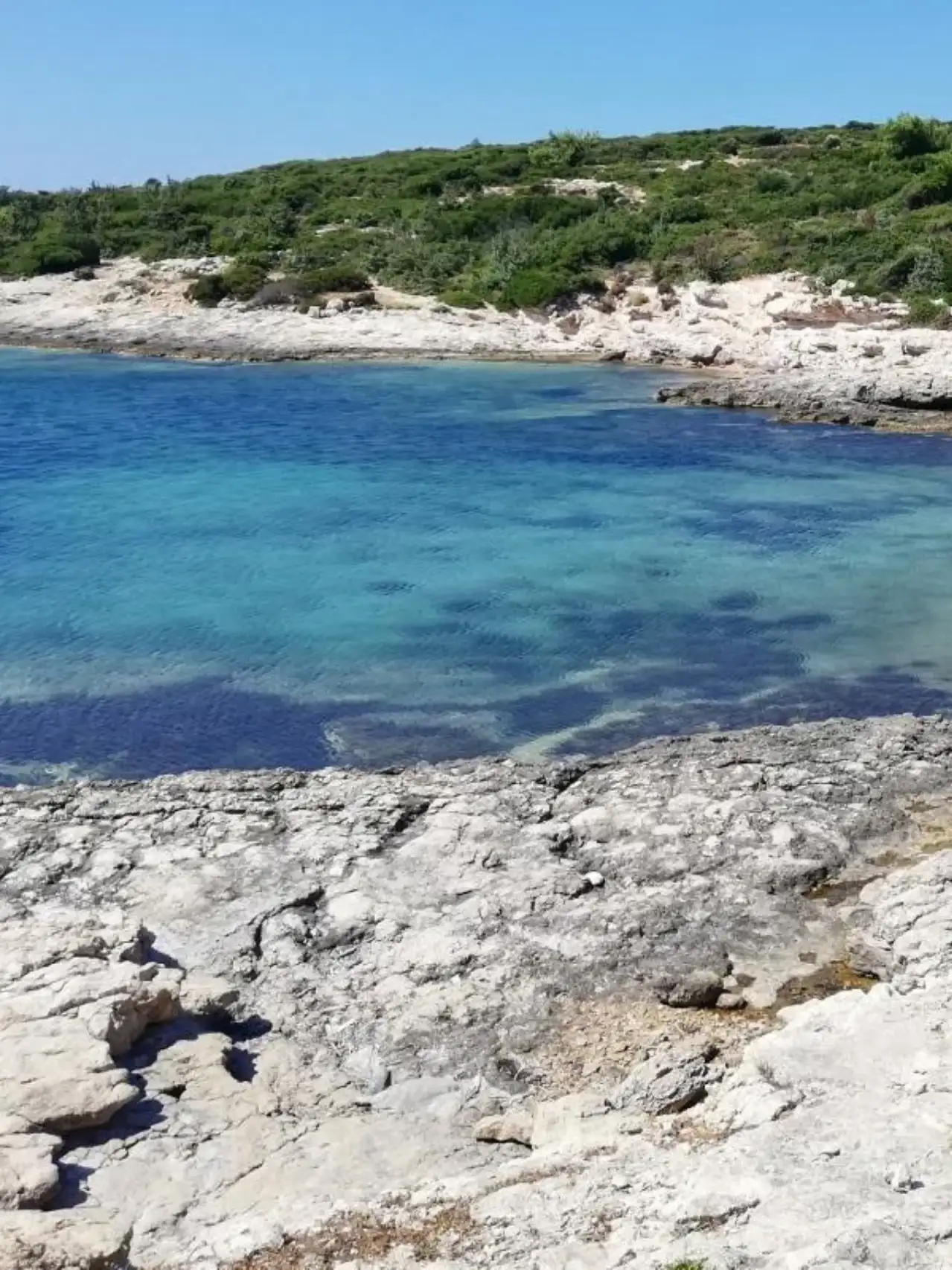 Seferihisar’da Ücretsiz Koylar İlgi Görüyor: İşte Keşfedilmeyi Bekleyen 5 Doğal Rota