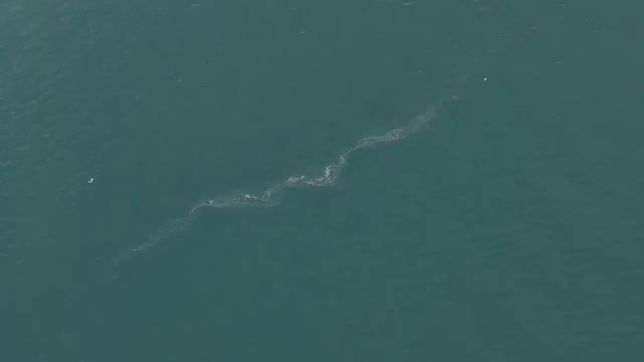 İzmir Körfezi’nde Kirlilik Alarmı: 6 Ayda 13 Vaka Tespit Edildi