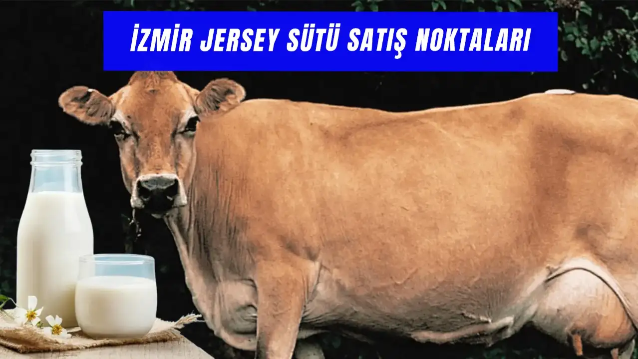 Jersey Sütü İzmir'de Nerede Satılır? İzmir Satış Noktaları!