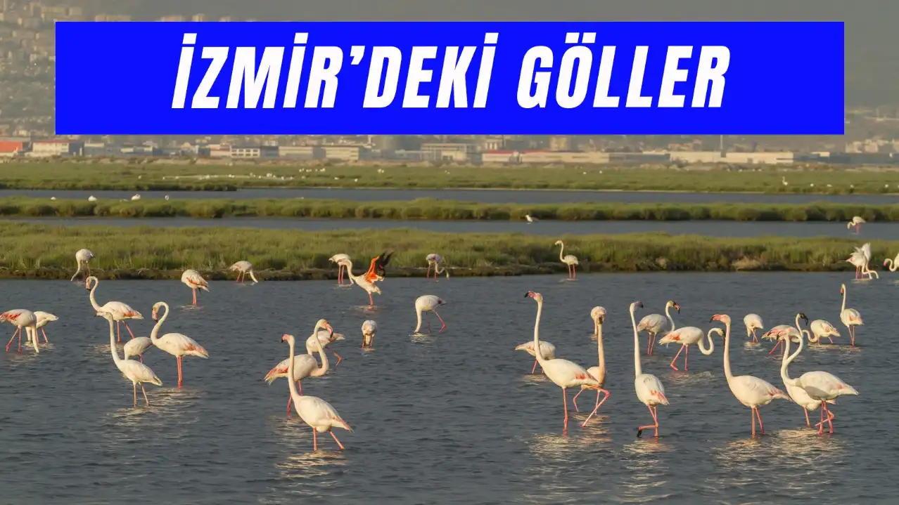 İzmir Gölleri: En Huzurlu Göl Rotaları!