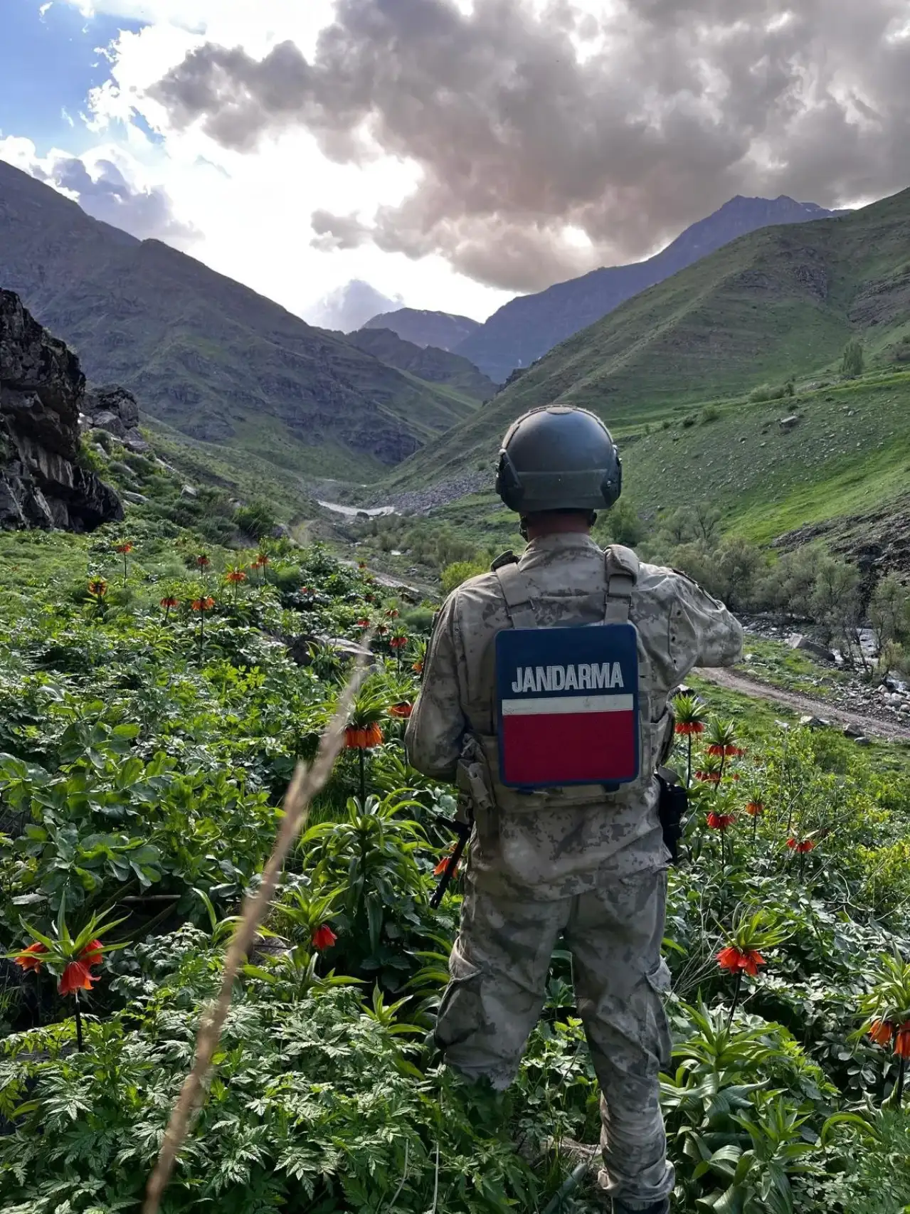 Hakkari’de Ters Lalelere Jandarma Koruması: Koparana 577 Bin Lira Ceza