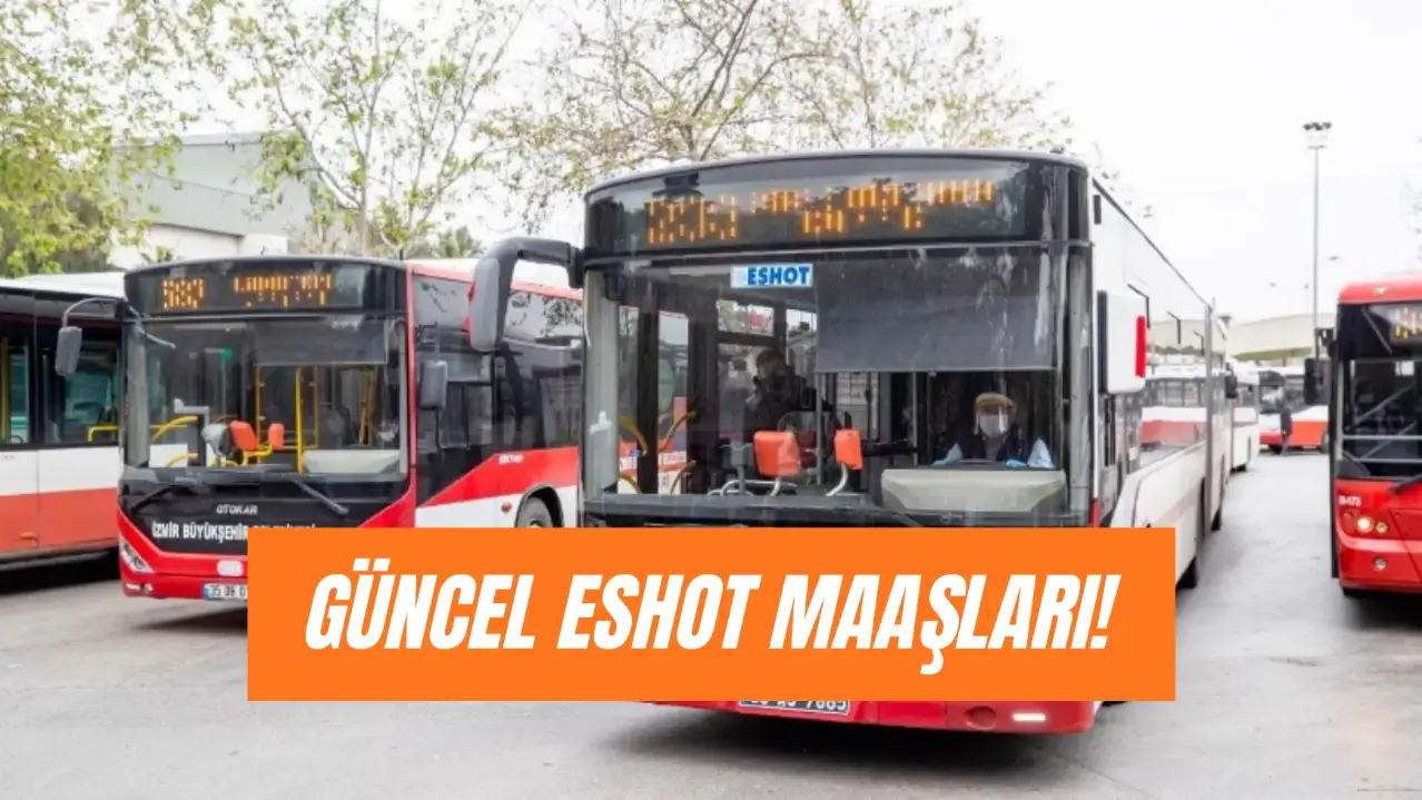 İzmir Eshot Maaşları: Nasıl Eshot Şoförü Olunur?