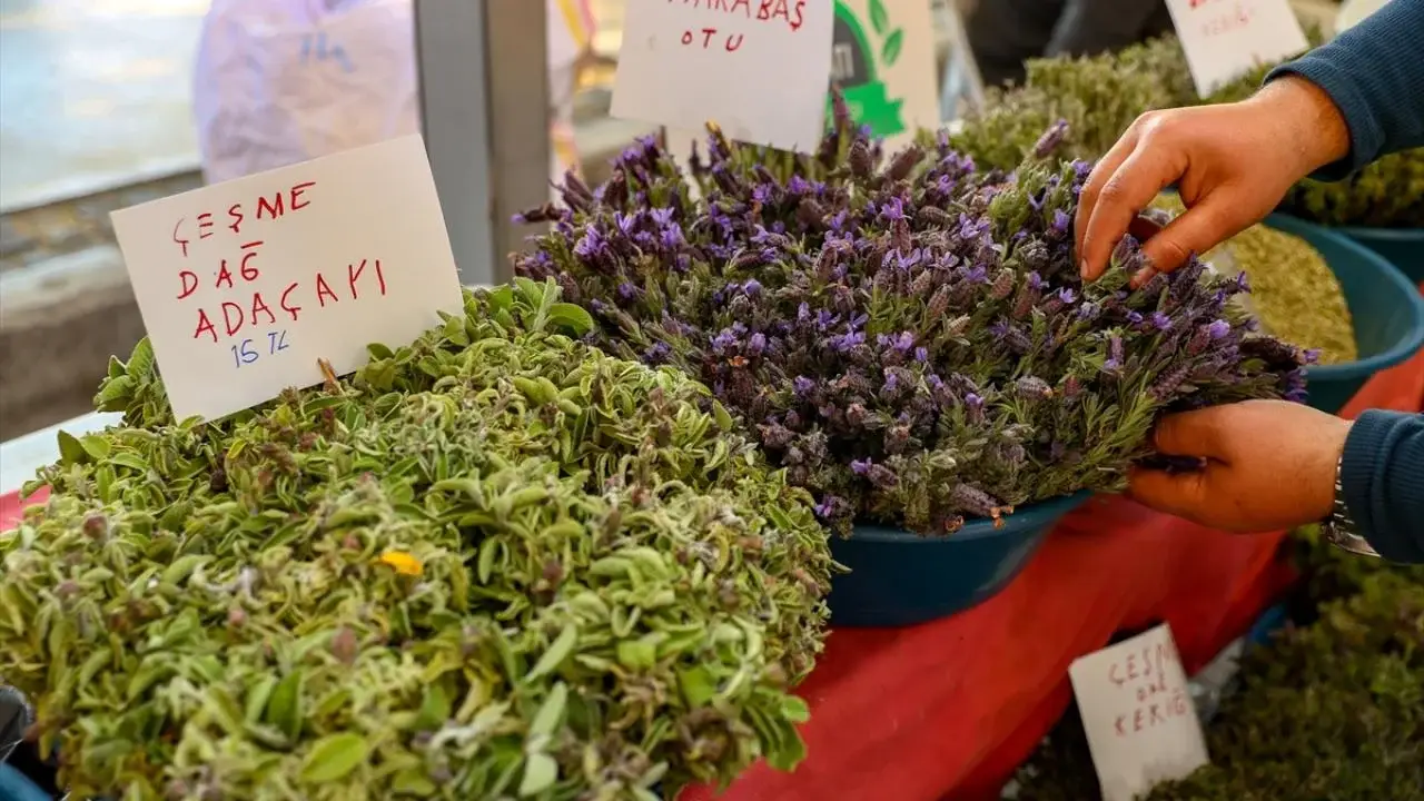 alaçatı ot festivali