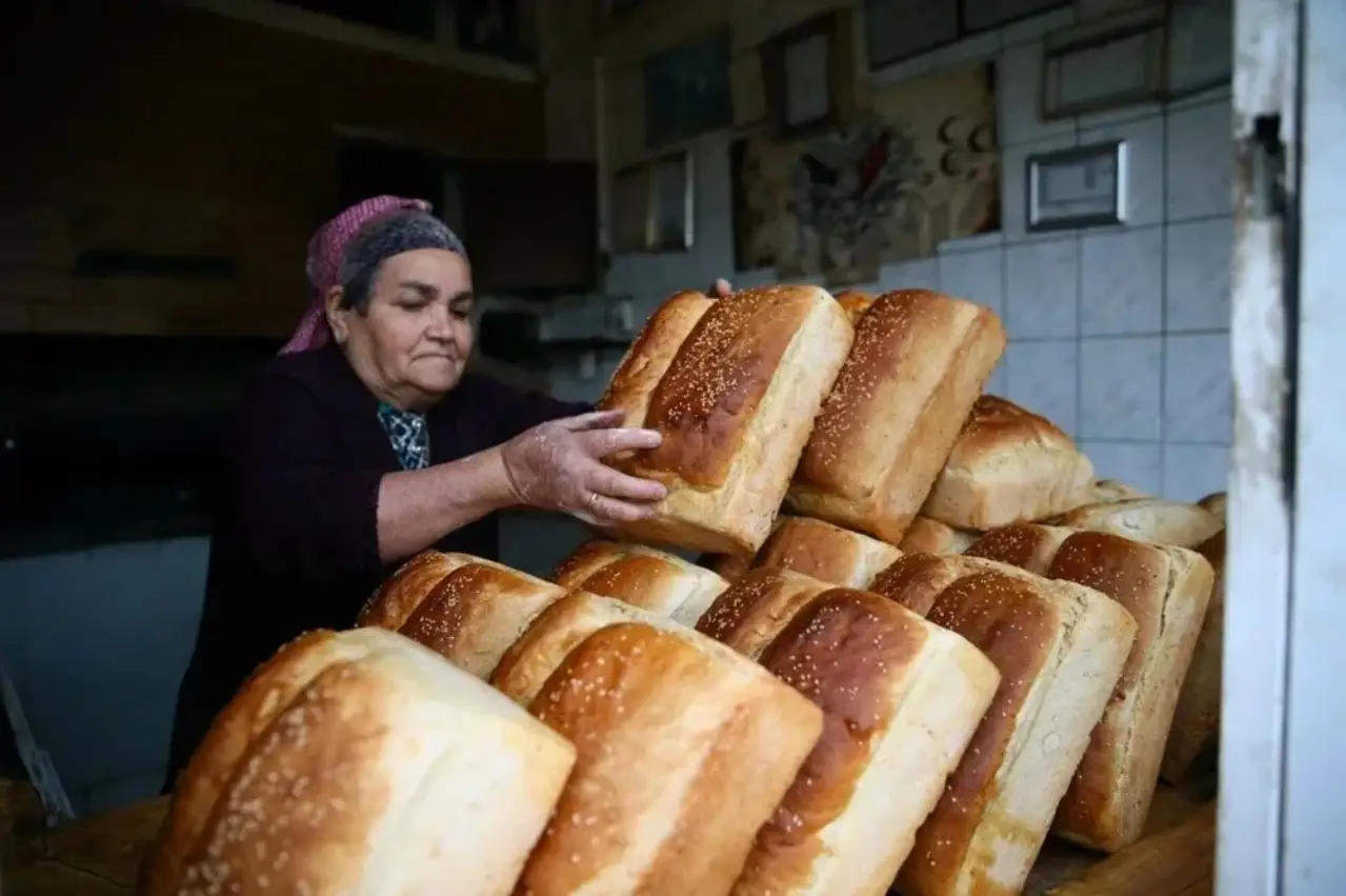 Tire'de “Emek ve Ekmek Şenliği” Heyecanı Başlıyor