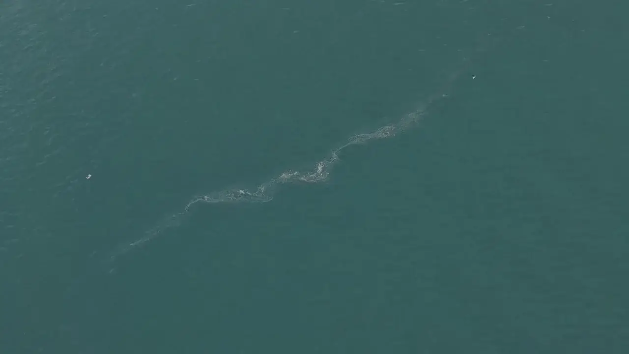 İzmir Körfezi’nde Kirlilik Alarmı: 6 Ayda 13 Vaka Tespit Edildi