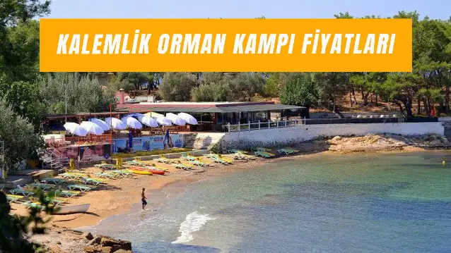 Kalemlik Orman Kampı Fiyatları 2025: Giriş Ücreti Ne Kadar?