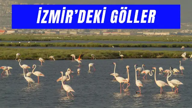 İzmir Gölleri: En Huzurlu Göl Rotaları!