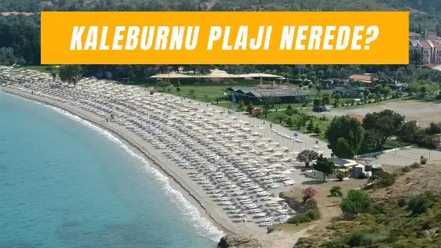 Kaleburnu Plajı Nerede? Giriş Ücretli mi?