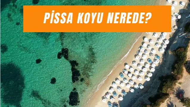 Pissa Koyu Nerede? Ücretli mi?