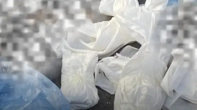 Buca’da Vahşi Olay: Çöp Konteyneri Yanında 33 Ölü Kedi Bulundu