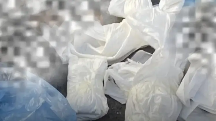 Buca’da Vahşi Olay: Çöp Konteyneri Yanında 33 Ölü Kedi Bulundu